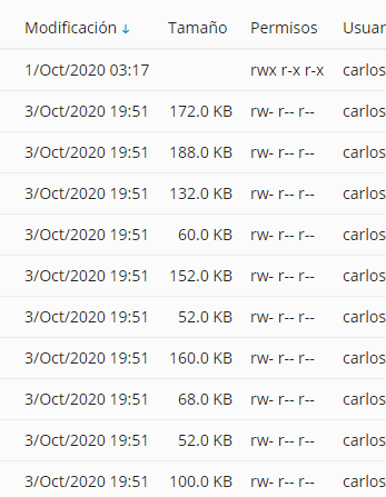 Revisar archivos de la página web