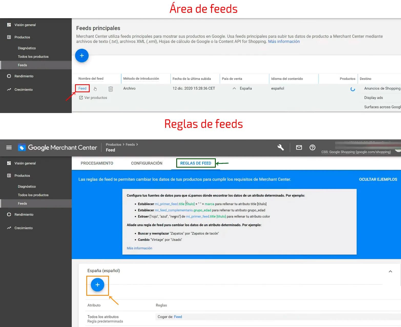 Selección de feed y etiqueta personalizada