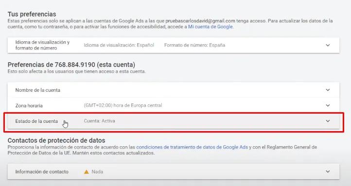 Estado de la Cuenta de Google Ads