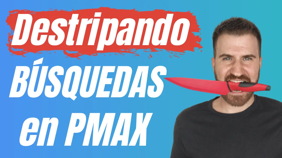 Términos de búsqueda en Performance Max