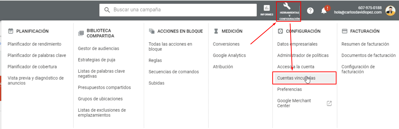 Google Ads cuentas vinculadas