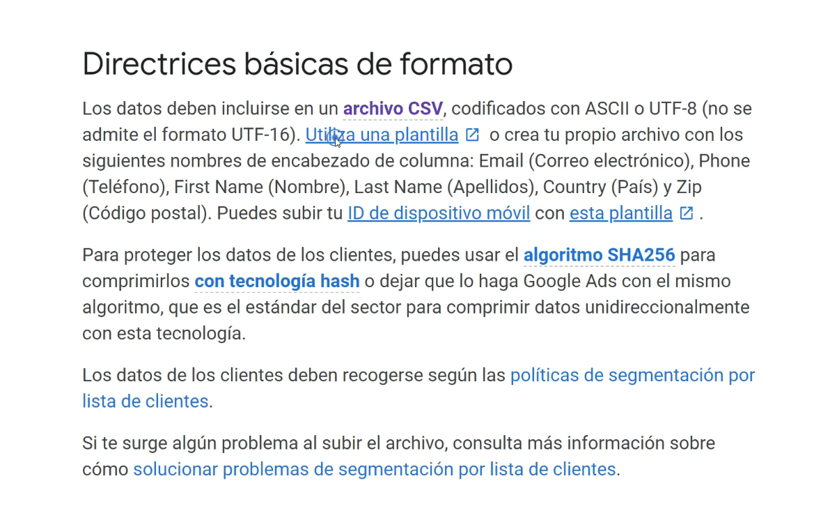 Remarketing con Google Ads Directrices Basicas de Formatoadecuado de los datos